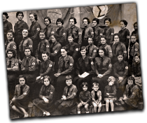 GFX_report_event_BRA_departamento_femininio